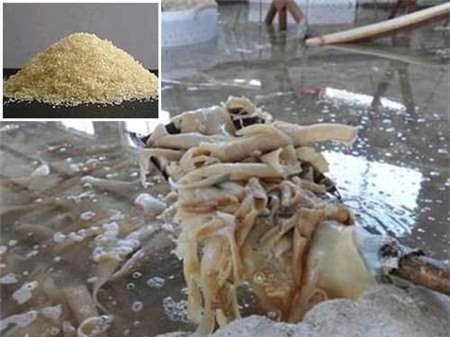 Một công đoạn chế biến gelatine từ da heo thối tại Trung Quốc. Ảnh nhỏ: Bột gelatine Trung Quốc bán tại các chợ TP HCM Ảnh: Ngọc Mai - tư liệu