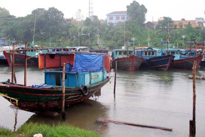 Chủ động đối phó với cơn bão số 2, kêu gọi tàu, thuyền vào nơi tránh trú bão an toàn