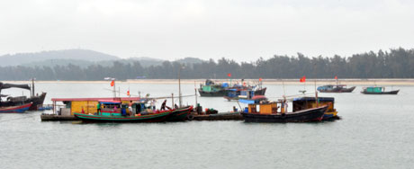 Các tàu, thuyền trên vùng biển Cô Tô về nơi tránh trú bão.