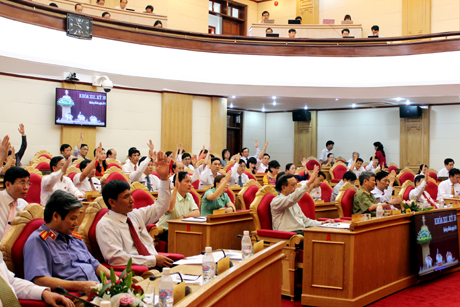 Các đại biểu