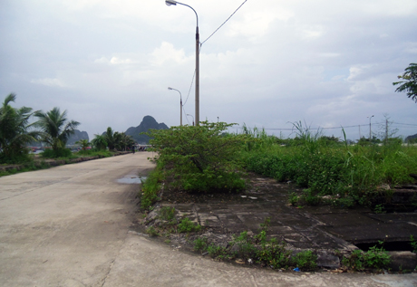 Ảnh minh họa. (nguồn Internet)