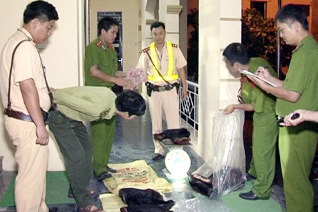 Đội Tuần tra kiểm soát giao thông 1-4 bàn giao tang vật cho Công an huyện Tiên Yên.
