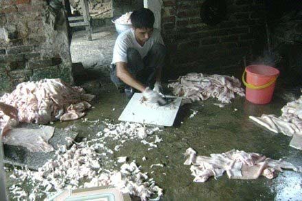 Chế biến mỡ bẩn 