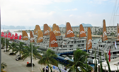 Bến du thuyền Tuần Châu.