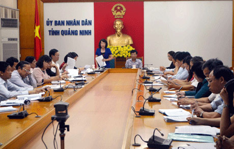 Đồng chí Vũ Thị Thu Thuỷ, Phó Chủ tịch UBND tỉnh phát biểu tại buổi làm việc