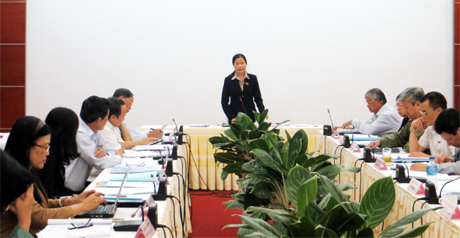 Đại biểu Đỗ Thị Hoàng, Phó Bí thư thường trực Tỉnh ủy, Trưởng đoàn ĐBQH tỉnh phát biểu.