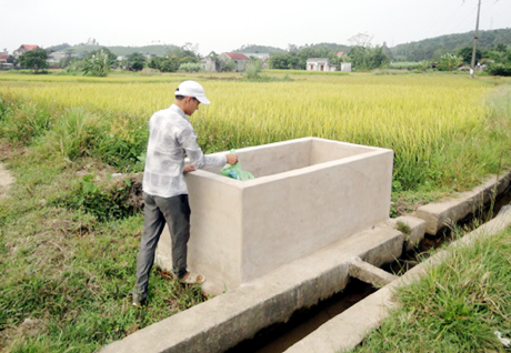 Từ khi có bể chứa rác thải nông nghiệp, cánh đồng tại thôn Làng Đài, xã Đông Hải, huyện Tiên Yên sạch đẹp hơn hẳn.