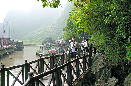 Ảnh minh họa. (Nguồn Internet)