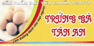 Ảnh minh họa. (Nguồn Internet)