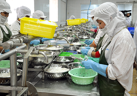 Chế biến thuỷ sản tại Công ty CP Xuất khẩu thuỷ sản 2 (TX Quảng Yên).