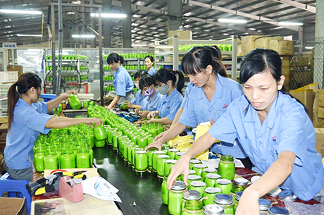 Công nhân Công ty Sản xuất nến cao cấp AIDI (KCN Cái Lân) thực hiện đóng gói sản phẩm. Ảnh: Thanh Hằng