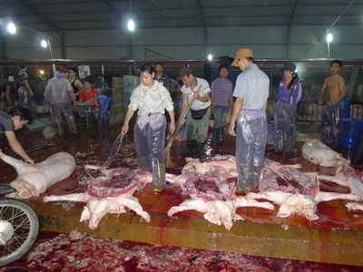 Hết thịt bẩn lại đến thịt độc bủa vây người tiêu dùng. Ảnh: Phong Cầm.