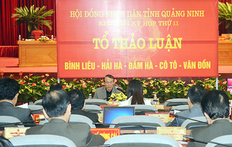 Các đại biểu HĐND tỉnh tảo luận tại Tổ 5.