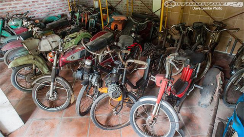 Bộ sưu tập của anh Vinh hiện có khoảng 200 xe.