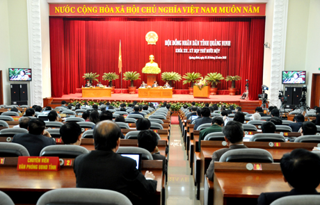 Quang cảnh phiên thảo luận tại hội trường.