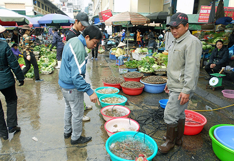 Người sản xuất và kinh doanh thực phẩm cần nâng cao trách nhiệm, gắn với quyền lợi đảm bảo VSATTP cho người tiêu dùng. Ảnh: Người tiêu dùng chọn thực phẩm tại chợ Hạ Long I.