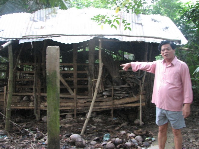 Khu chuồng trại nuôi dê một thời, giờ hoang phế.