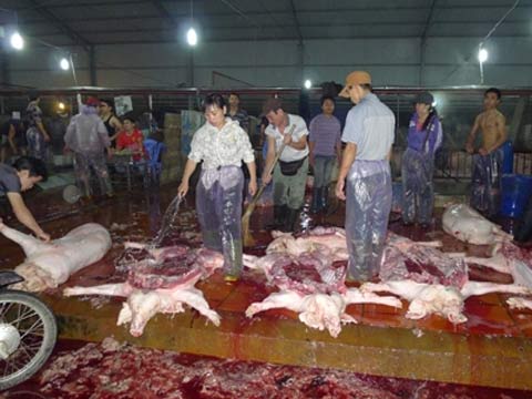 Thịt bẩn, thịt độc bủa vây người tiêu dùng. Ảnh: TP