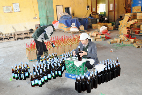 Công nhân của Công ty CP Thuỷ sản Đại Yên đóng nhãn mác bao bì tại xưởng sản xuất.
