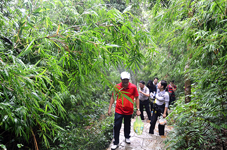 hành hương lên cụm di tích Ngoạ Vân.