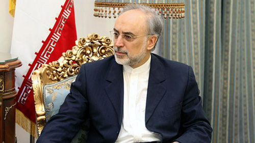 Lãnh đạo Cơ quan Năng lượng nguyên tử Iran Ali Akbar Salehi (Ảnh: Press TV)