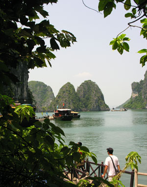 Ảnh minh họa.