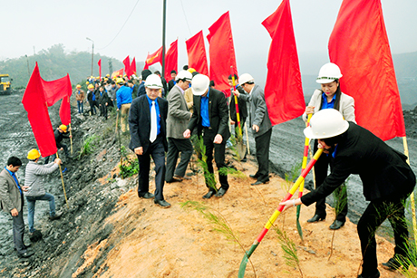 ĐVTN trồng cây hoàn nguyên môi trường khu vực khai trường Công ty CP Than Cọc Sáu, hưởng ứng Tết trồng cây “Đời đời nhớ ơn Bác Hồ” Xuân Ất Mùi và Tháng Thanh niên 2015.