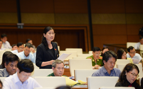 Đồng chí Đỗ Thị Hoàng, Phó Bí thư Thường trực Tỉnh ủy, Trưởng Đoàn ĐBQH tỉnh phát biểu thảo luận.