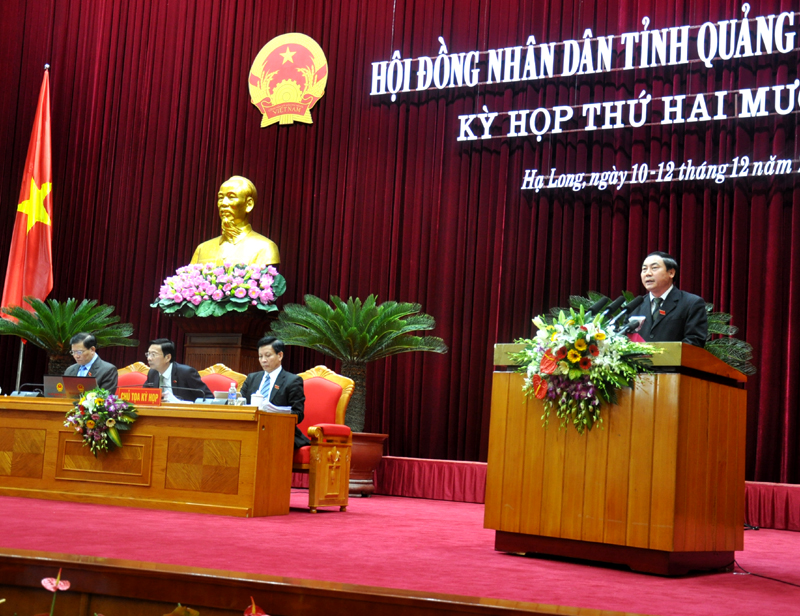ĐB Đặng Bá Bắc (Tổ ĐB Bình Liêu) tham gia phát biểu tại hội trường