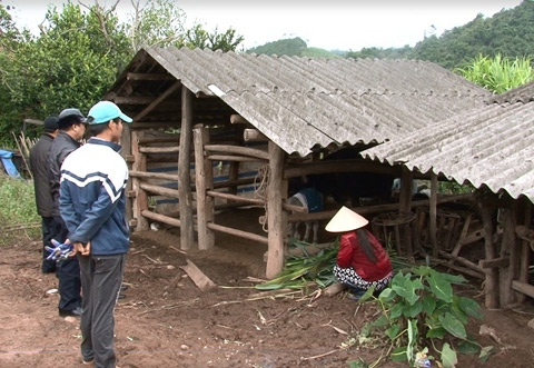 Lãnh đạo huyện Tiên Yên đi kiểm tra, nhắc nhở người dân phòng chống rét cho vật nuôi