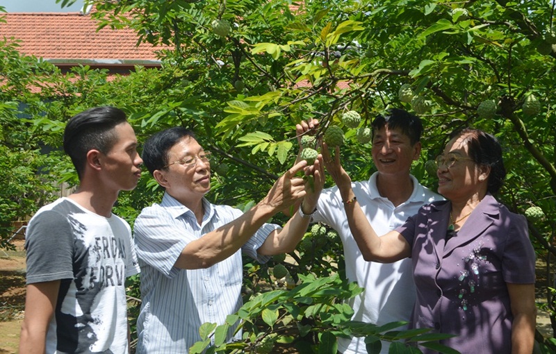 HTX Na dai Đông Triều (xã Việt Dân, TX Đông Triều) là thành viên của Liên hiệp HTX Hoa Phong – Sông Hồng có trụ sở tại Hà Nội.