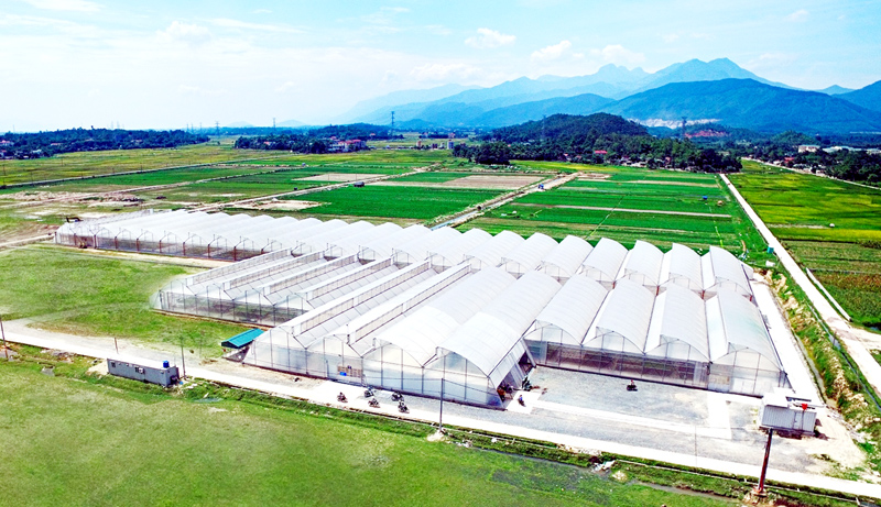 2 năm "hành trình sạch – tương lai xanh" của Vineco - Báo Quảng Ninh điện tử