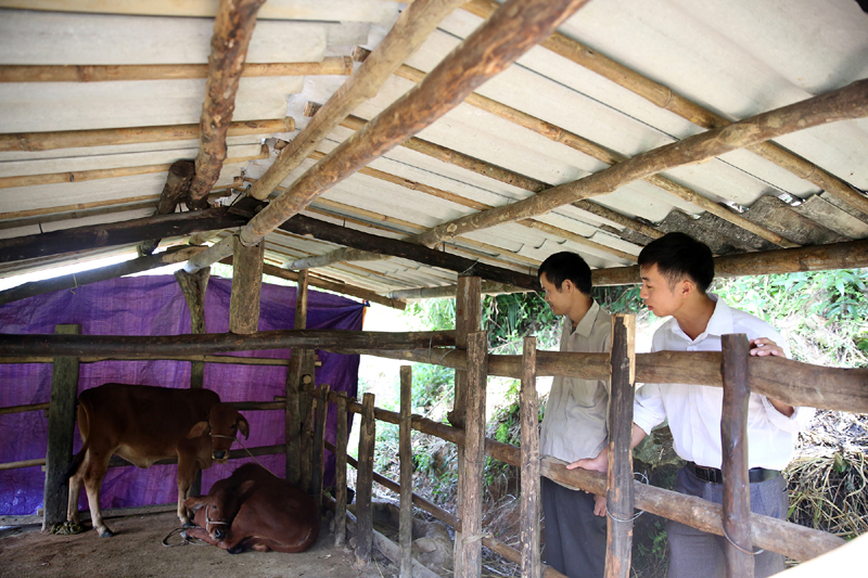 Bí thư Chi bộ kiêm Trưởng thôn Mào Sán Cáu Lỷ A Tài cùng người dân trao đổi mô hình phát triển kinh tế.