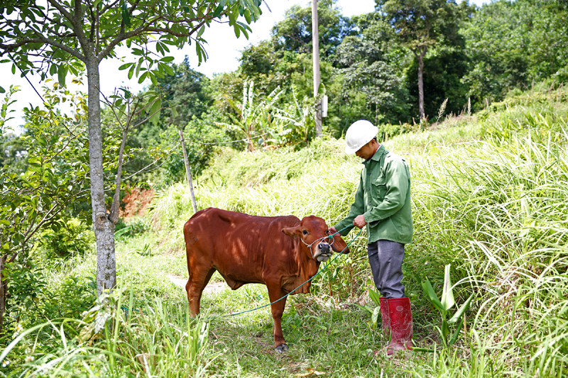 Bí thư Chi bộ kiêm Trưởng thôn Mào Sán Cáu Lỷ A Tài cùng người dân trao đổi mô hình phát triển kinh tế.