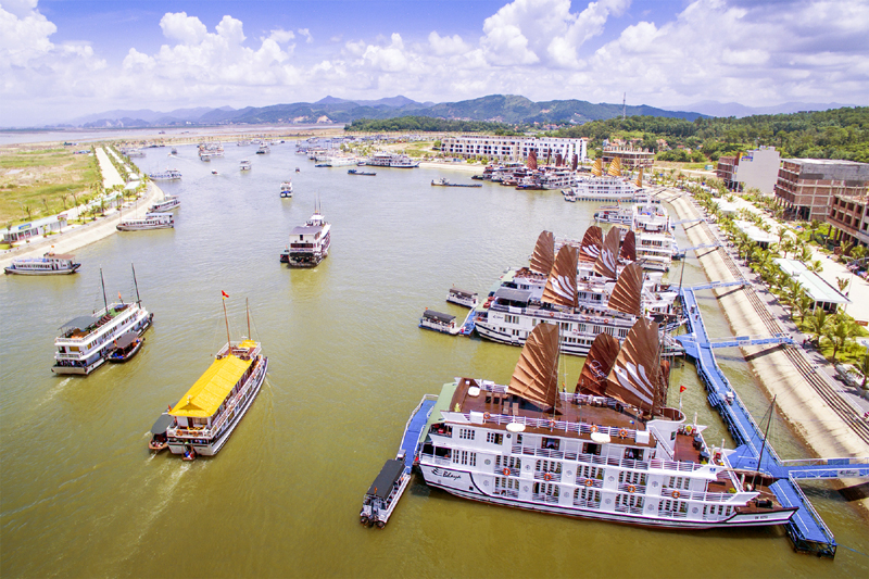 Phát triển