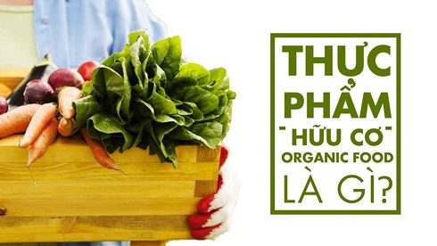 Thực phẩm sạch, thực phẩm hữu cơ đang trở thành "cứu cánh" cho các bà nội trợ trong vài năm trở lại đây. (Ảnh minh họa: KT).