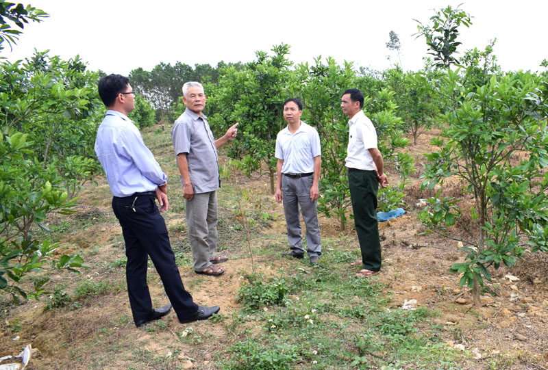 CCB Hừu (thứ 2 từ trái sang) đang giới thiệu về vườn mẫu với du khách