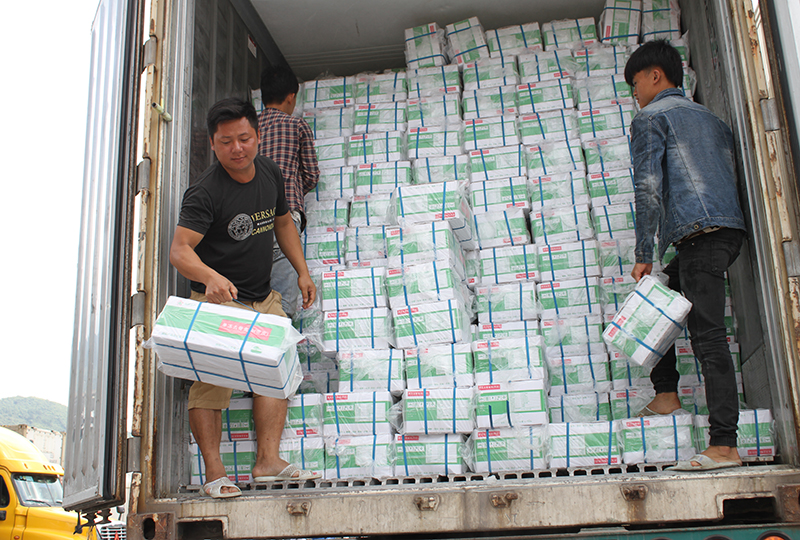 Anh Tằng Anh Vò ong bốc hàng từ Công xuống.