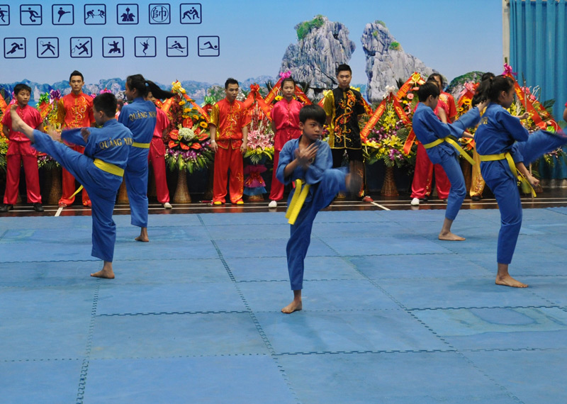 Học sinh môn võ thuật Vovinam của Trường TDTT biểu diễn tại lễ khai giảng năm học 2017-2018