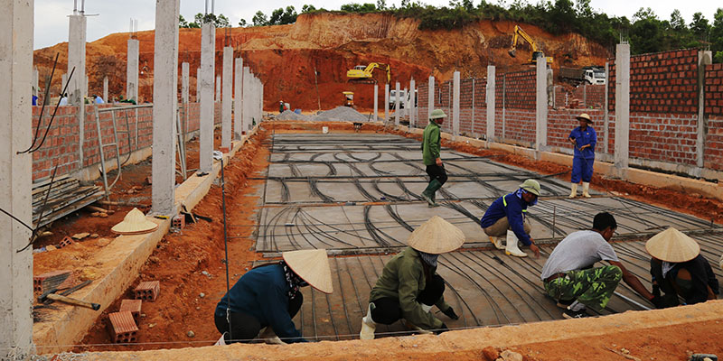 8 trại giống đầu tiên của dự án đang được khẩn trương thi công. 