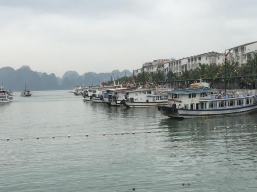 Tàu du lịch hoạt động trên Hạ Long. Ảnh: Thùy Linh/BNEWS/TTXVN