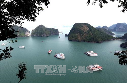 Một góc vịnh Hạ Long. Ảnh: Quang Quyết/TTXVN