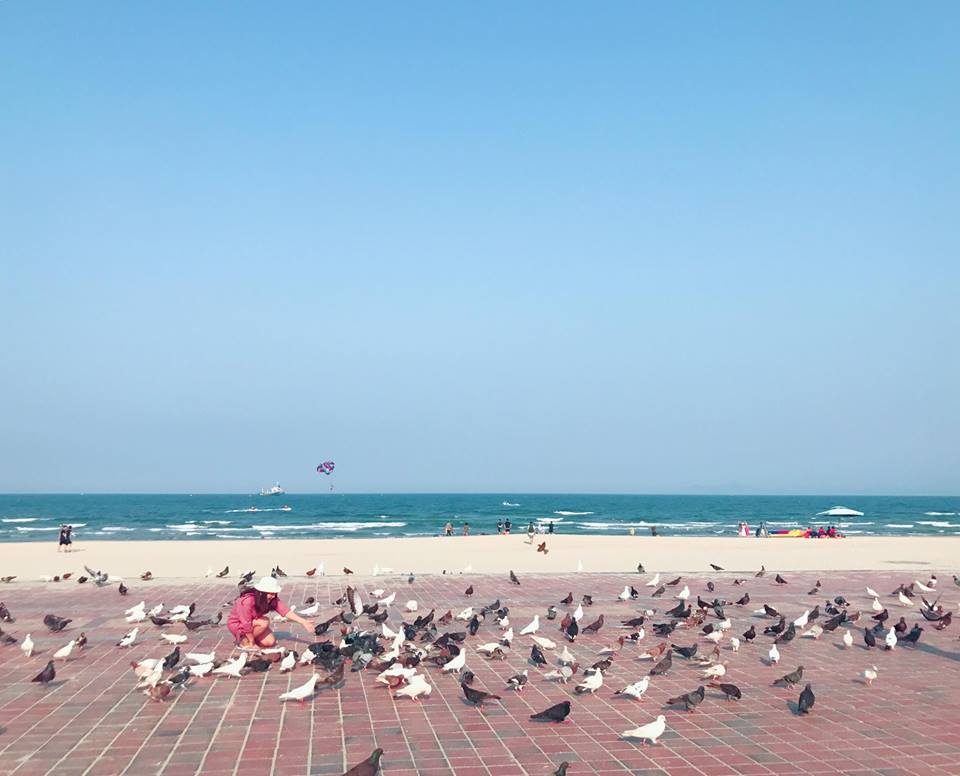Đến đây, bạn sẽ được chiêm ngưỡng hình ảnh những đàn chim bồ câu chao lượn trên không trung rồi lại sà xuống nhẹ nhàng bên khoảng sân rộng sát kế mênh mông sóng biển Mỹ Khê, tạo nên một hình ảnh vô cùng đẹp và thanh bình ngay giữa lòng thành phố nhộn nhịp.