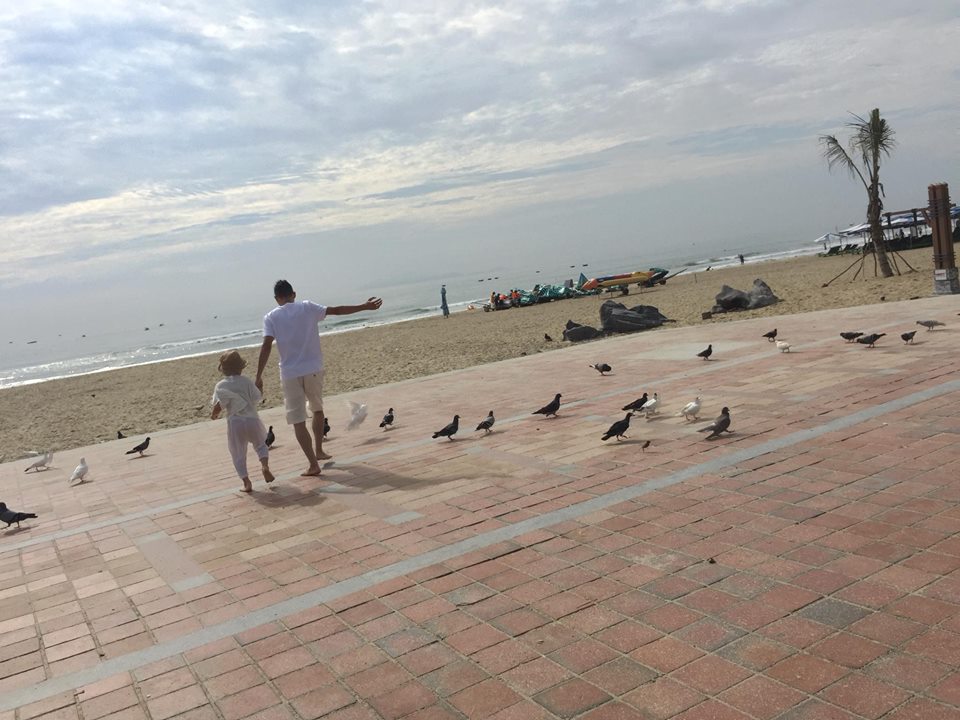 Du khách bị níu chân bởi cả đàn chim bồ câu hàng trăm con đang bay lượn