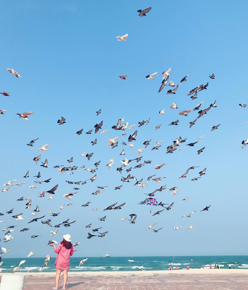 Khách du lịch ghé Đà Nẵng không thể bỏ lỡ cơ hội ghi lại hình ảnh rất đẹp khi đàn bồ câu cùng lúc vỗ cánh bay lên bầu trời.