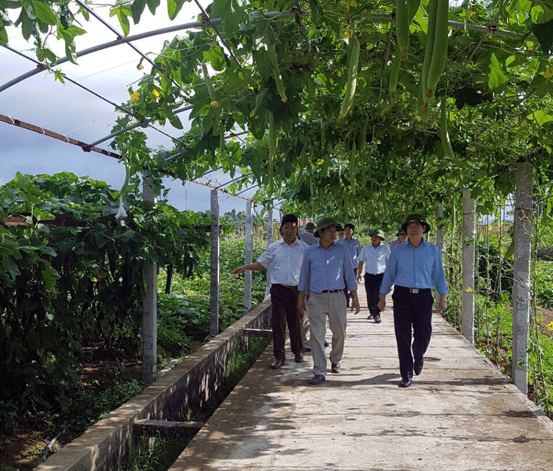 Tổ công tác kiểm tra tình hình xây dựng nông thôn mới, thôn mẫu, vườn mẫu tại xã Quảng Minh.