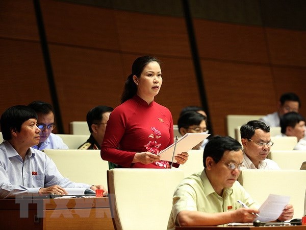 Đại biểu Quốc hội tỉnh Hòa Bình Bạch Thị Hương Thủy phát biểu. (Ảnh: Dương Giang/TTXVN)