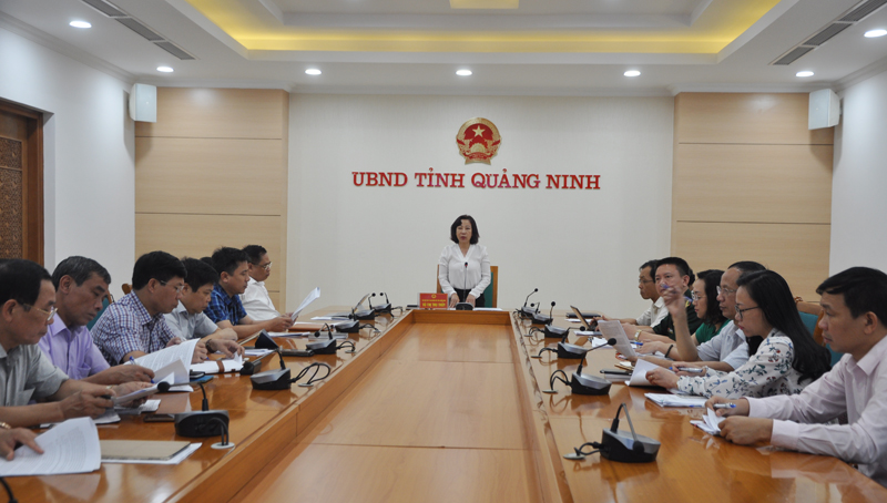 Đồng chí Vũ Thị Thu Thủy, Phó Chủ tịch UBND tỉnh phát biểu tại cuộc họp giao ban