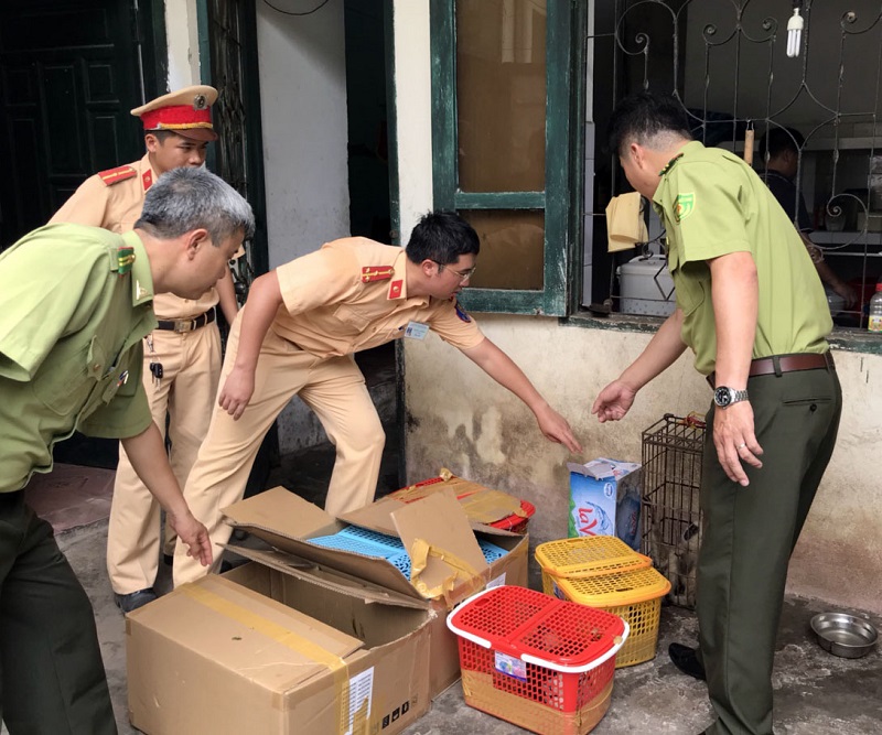 Đội TTKSGT số 3 bàn giao tang vật cho Hạt Kiểm lâm huyện Tiên Yên.