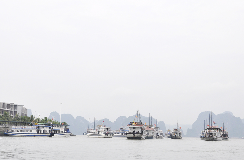 Thu phí tham quan Vịnh 6 tháng đầu năm đạt kết quả khả quan.